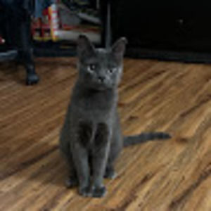 Meet your Posher, Marta